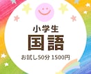 お試し☆小学生向け国語のオンライン指導いたします 宿題のフォローや補習に♪【初回のみのお試し】にご利用ください イメージ1