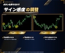 MT4/MT5順張り逆張りサインツール販売します チャートを起動し後はサインに従いエントリーするだけ イメージ4