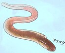 POPやチラシ等にご使用頂けるイラストを描きます ご指定頂ければ用途に応じて絵柄や背景等も調整致します！ イメージ1