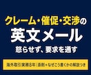 海外との英文メール(クレーム・催促等)を添削します 相手を怒らせず要求を通す。「なぜこう書くか」の解説つき イメージ1