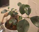 気持ちの整理、お手伝いします 話すだけで、こころがふっと軽く。 イメージ2
