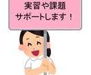 看護学生さん向け★課題や記録、実習のお手伝いします アセスメント・看護計画・目標など★学習&心のサポート イメージ1