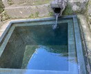 言葉を発するだけで心が癒されます 心が和めば身体も安まる(*´ー｀*) イメージ3