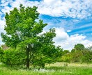 孤独感を解消します あなたの気持ちに寄り添い、否定せず話を聴きます！ イメージ10