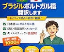 日本国⇄ブラジルポルトガル語翻訳します AI＋人のチェックで高品質に翻訳します イメージ1