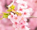辛い・苦しい・悲しい・全て真剣にお聴きします 不安や恐怖・ 一人で悩まないで一緒に考えます. イメージ4
