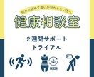健康的な身体作りのサポートを２週間行います ダイエットやコンディショニングのアドバイスを行います。 イメージ1