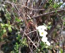 カウンセラーのプロが心を優しく開放します グラスハートの駆け込み寺　何があっても大丈夫 イメージ1