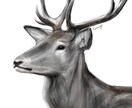 可愛い動物のイラスト描きます 動物のデフォルメやロゴデザインまでお任せください イメージ3