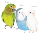 ペット(鳥)のイラスト描きます ✩お気に入りの写真をイラスト化してダウンロードデータに♪ イメージ7
