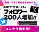 X・旧Twitterの日本人フォロワーを増加します 高品質な本物の日本人フォロワー200人増加！30日減少保証 イメージ1