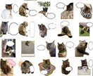 写真からスタンプ作ります お持ちのお写真から、LINEスタンプを作成します。 イメージ1