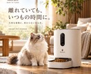 商品の魅力が伝わるEC商品画像を制作します 現役EC運営者が「売る側の視点」でデザイン イメージ2