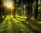 性的虐待の辛さを紐ときます 気持ちが救われるお手伝いをします イメージ1