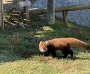 えっちょっとわかんないんだけどどうしよう？聞きます 迷ったら気軽にきいてみて！小さなことでもいいよ？ イメージ1