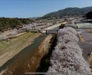 ドローン空撮　虫•鳥の目線のような動画を撮影します 手持ちカメラでは撮れない映像なら是非 イメージ17