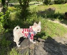 今の自分のすすむべき道とは？占います 『アナタ』を知ることが全てのはじまり。 イメージ8