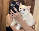 恋愛相談聞きます 知り合いには話せないことも、ただ聞くだけもアドバイスも イメージ1