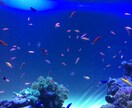 あなたのおはなし聞きます 周りの人になかなか話せない、愚痴やお悩み、ありませんか？ イメージ1