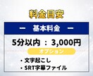 SNS動画の英語字幕作成のための翻訳します 現役スポーツ通訳が英語字幕を作成します イメージ2