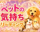 ペットの気持ちをやさしく鑑定します 虹の橋のあの子の想いにも寄り添います イメージ1