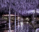 あなたの悩みに四柱推命、タロットで鑑定いたします 幸せのレシピをお作りいたします イメージ2