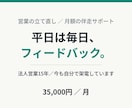 法人営業15年｜営業の立て直しを毎日伴走します 平日は毎日フィードバック。数字を見ながら継続で伴走します イメージ1