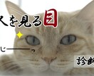 何名でもOKです。採用業務をお手伝いいたします 業種職種問わず、貴社貴店の採用担当として動きます！ イメージ3