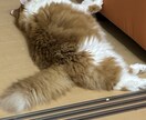 週6働く現役調剤事務があなたの愚痴を優しく聴きます 明るい声であなたのココロをパッと軽くします イメージ1