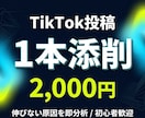 Tiktok投稿たった1本で診断します あなたの投稿もっと伸ばせます。プロが診断。 イメージ1
