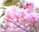 貴方のお話しを何でもお聞きします 心のうちにある悩み事、愚痴などなんでも聞きます イメージ1