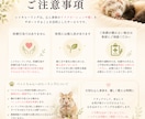 ペットさんもOK◎4日間遠隔レイキヒーリングします 癒しの4日間をお届け。張りつめた心身を、ふわっとゆるめます イメージ5