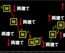 FX専業プロの両建て手法をお教えします 5年に渡ってトレードしてきた自信を持ってお勧めする両建て手法 イメージ4