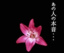 あの人が隠し持つ全本心タロット鑑定します 淡々と、嘘偽りなく。あの人の本音と二人の結末を、事実のみ イメージ1