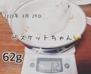 ハムスターの相談に乗ります 薔薇です。お世話になってます。ハムスター飼ってます。 イメージ5
