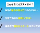 エントリーシート、履歴書の添削を行います あなたのアピール、レベルアップ！ イメージ2
