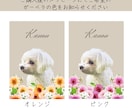 ガーベラペット似顔絵｜額縁可｜お急ぎ可でございます 猫・犬・うさぎ等リアルで華やかなペットイラスト｜ラッピング可 イメージ4