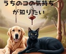 ペットの想いを ペンデュラムで魂にアクセスします 光の導き ✨星の記憶から声をお届け♡愛しいあのコからの贈り物 イメージ5