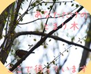 新規限定✿あなた想いと心身にじっくりと寄りそいます /心身の不安/人間関係/恋愛/家庭問題/HSP/愚痴/雑談 イメージ6