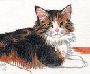 猫さんの似顔絵描きます はがき大、手描きの原画をお届けします！ イメージ2