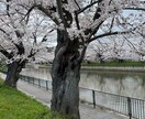 楽しい恋愛しよ！彼の事でもう悩まないで相談聞きます 恋愛は悩む事ではなく楽しむ事だよ イメージ10