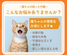 行動専門獣医師が猫の"困った行動"を解決します ★出品記念の為、初回5名まで最低価格でお受けします★ イメージ5