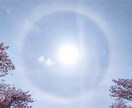 対面中性占い師がオリジナル多次元オラクルで占います LGBTQ、三角関係、精神疾患にも寄り添う兼アロマセラピスト イメージ3