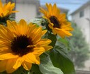 ママが笑顔になれるお手伝いをします 〜現保育士(保育士歴20年)・4児のママがサポート〜 イメージ1