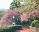 恋愛相談なんでも聞きます どんな悩みでもとりま話してみませんか？ イメージ1