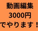 動画編集承ります 最安値格　3000円　での出品！ イメージ1