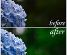写真のレタッチ致します 好きな写真をもっといい写真に！ イメージ1