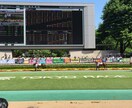 初心者必見！盛岡クラスターCの軸馬教えます データ馬券、血統、ワイド馬券で楽しく競馬観戦！ イメージ1
