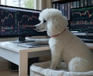 FX自動売買を活用した収益化のお手伝いを致します ～トレード時間を節約したいという方へ～ イメージ1