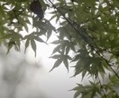 大手案件経験のプロが動画編集いたします 思いを込めて撮影された動画、作品に仕上げます。 イメージ2